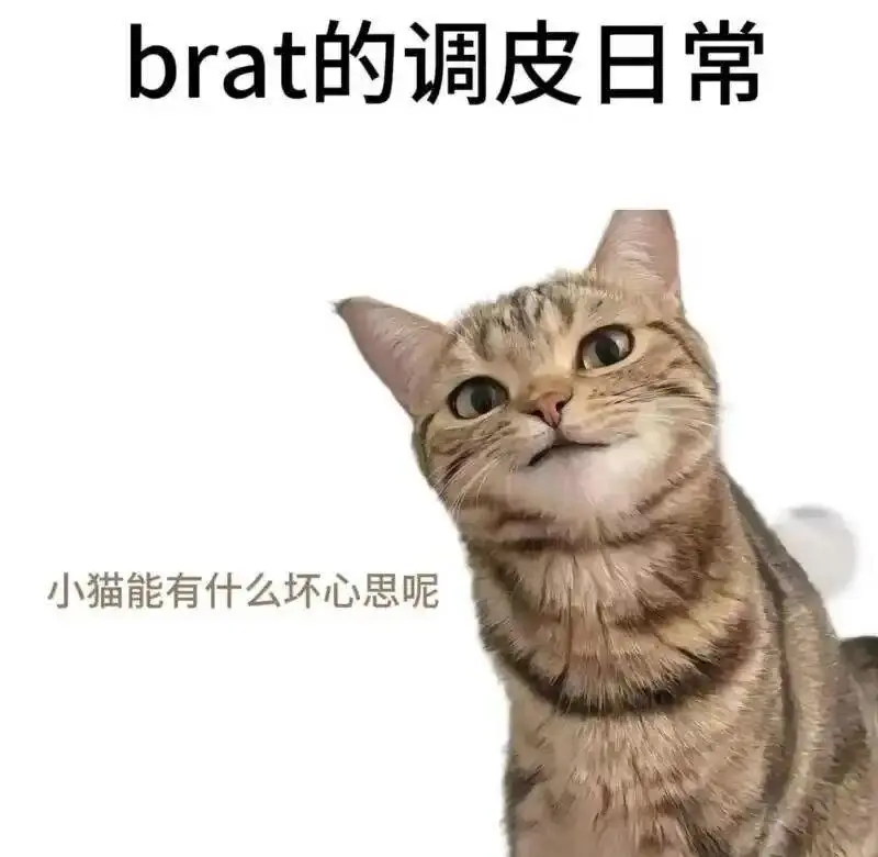 小圈 - 微信图片_20251203212836_109_19