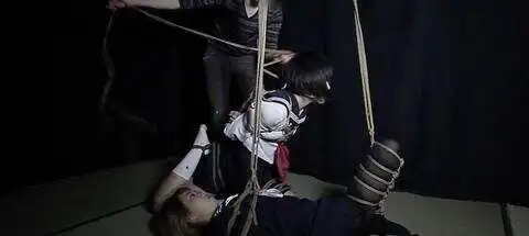 【西檬之家】Dom是什么？BDSM新人入圈核心指南