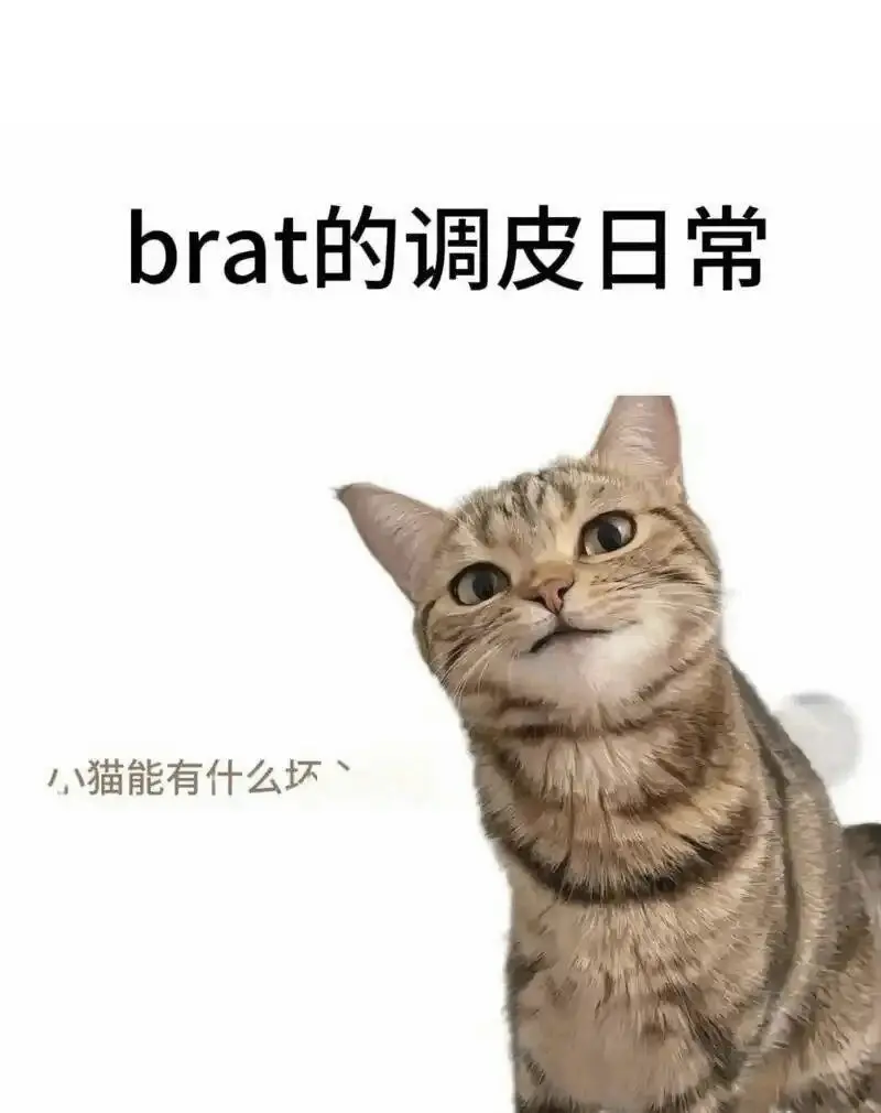 【西檬之家】Sub是什么？解析字母圈臣服者角色