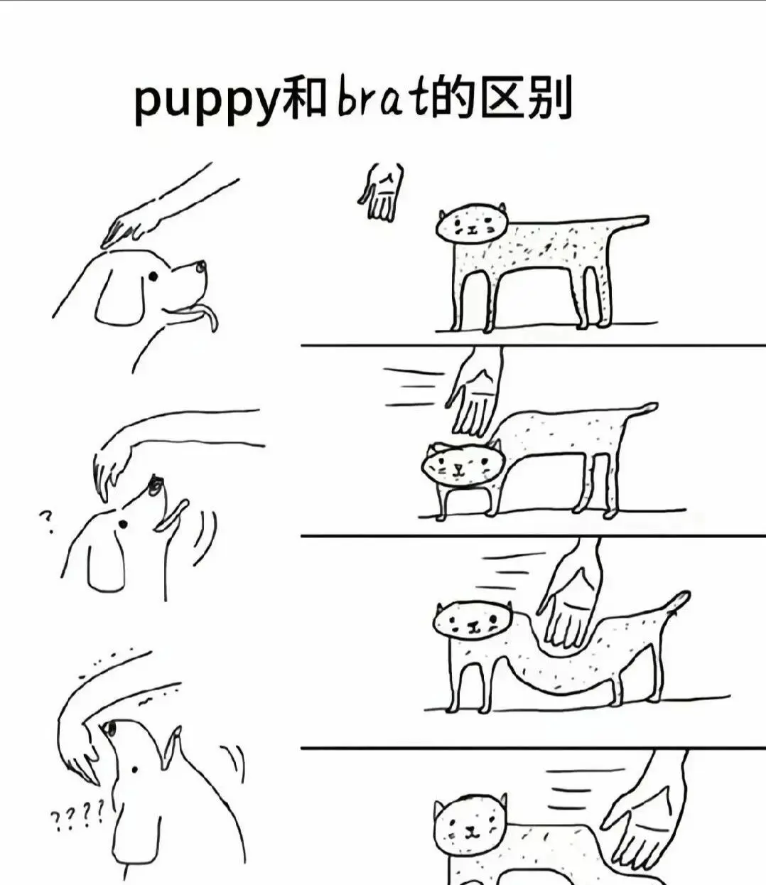 【西檬之家】K8是什么？解析字母圈中的猫系角色扮演