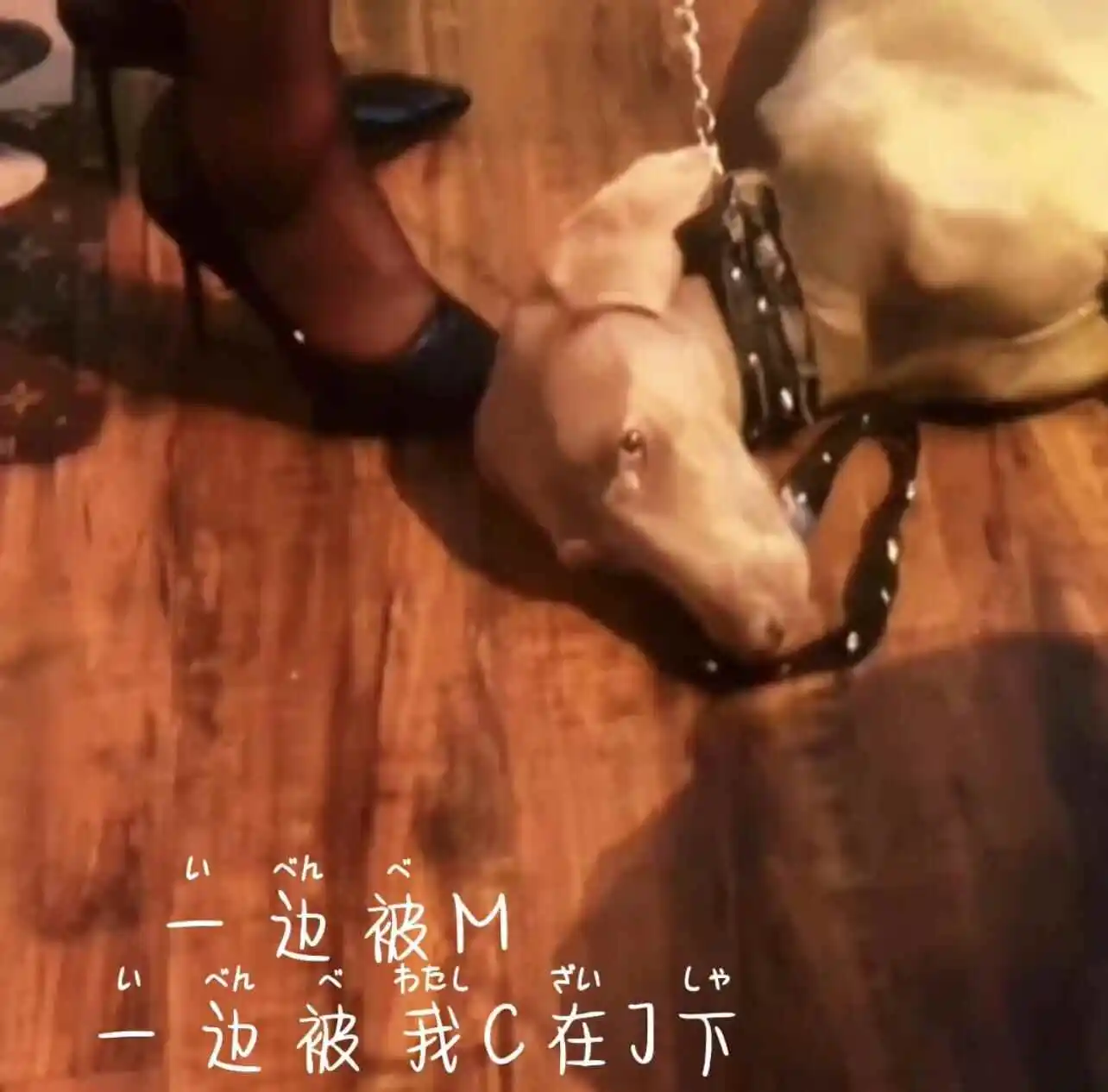 【西檬之家】BDSM新人指南：从TK到SSC原则的安全入门