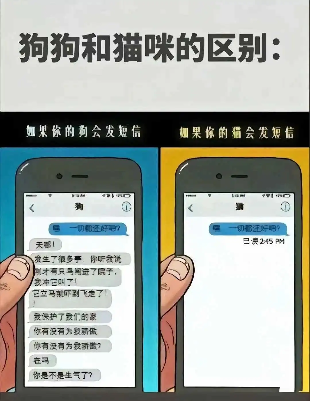 【西檬之家】K8是什么？揭秘字母圈中的猫系角色
