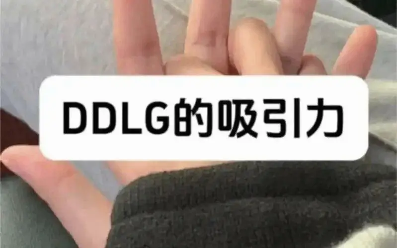【西檬之家】PE详解：字母圈新人必知的权力交换指南