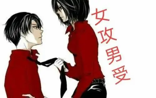 【西檬之家】字母圈新人指南：读懂DT与核心安全原则