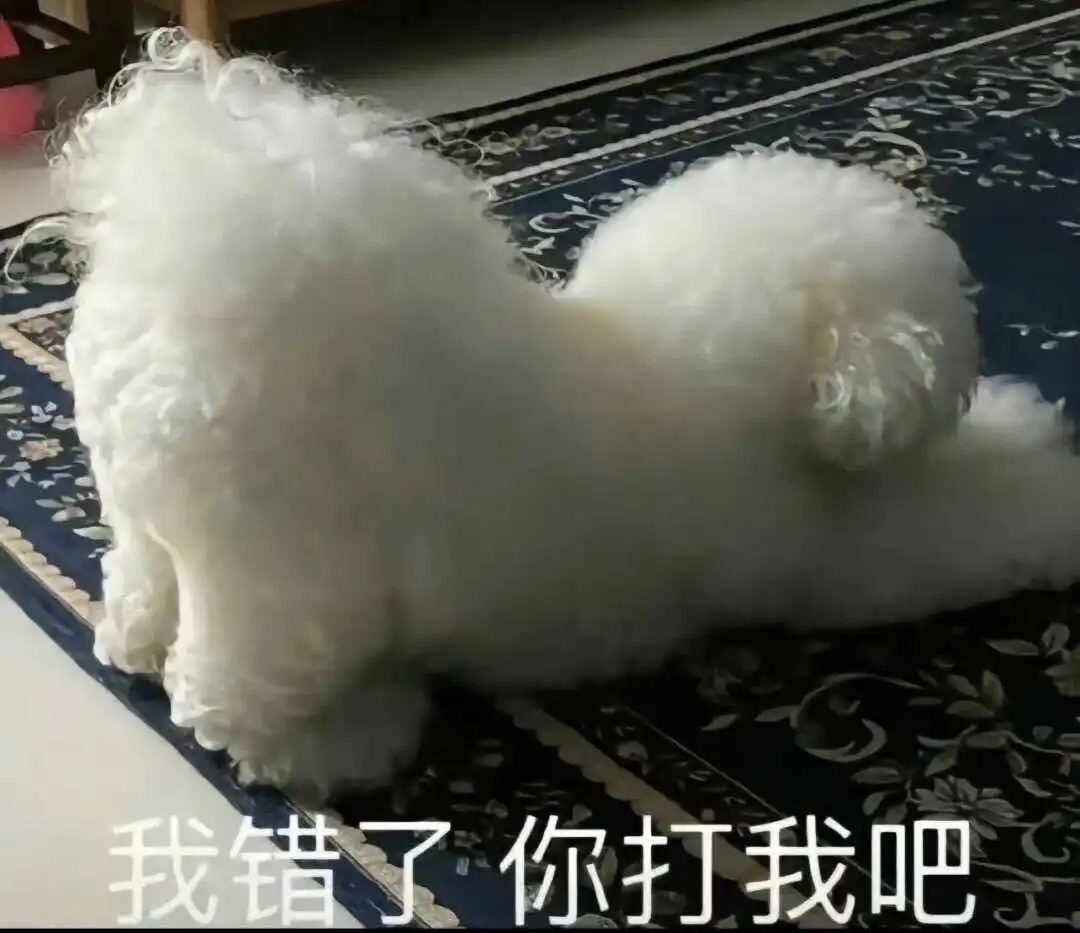 【西檬之家】BDSM管教入门：新手如何建立信任与规则
